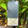 Hydrangea Paniculata 'Little Blossom' 5Ltr Pot -Garden Outdoor Store 5019945247536