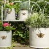 Woodlodge 29cm Wisteria Bee Cylinder Planter -Garden Outdoor Store 5021346427110 fa3cfc22 6889 45d8 b39f c047370bf042