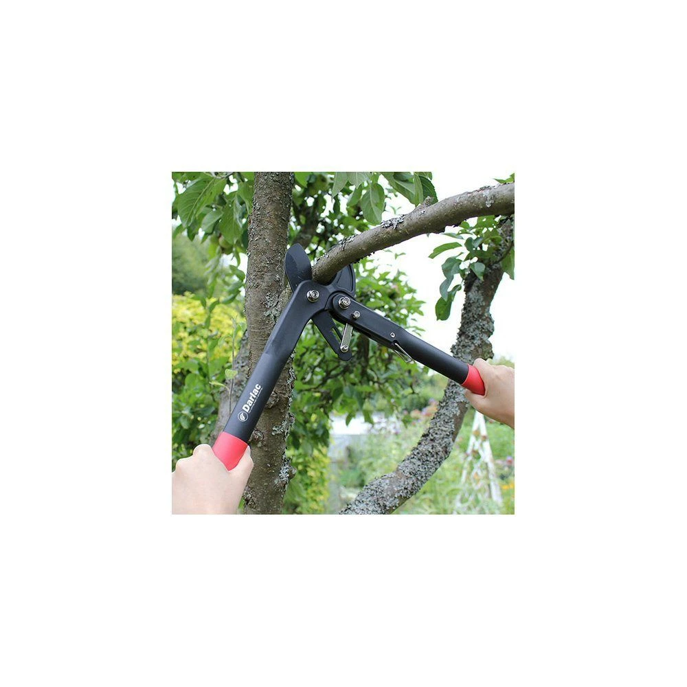 Darlac Handy Ratchet Lopper 4 Darlac Handy Ratchet Lopper - Image 2