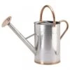 Smart Garden 9 Litre Galvanised Steel Watering Can -Garden Outdoor Store 5050642047234 2302db94 df29 471a b2b0 3be02c85f72a