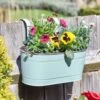 Smart Garden 30cm (12") Sage Fence & Balcony Hanging Planter 2 Smart Garden 30cm (12") Sage Fence & Balcony Hanging Planter -Garden Outdoor Store 5050642049757