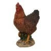 Vivid Arts 28cm Summer Hen - XRL-CHKN-D -Garden Outdoor Store 5055195014733