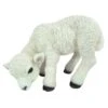 Vivid Arts 31cm Standing Lamb - XRL-LAMB-D 1 Vivid Arts 31cm Standing Lamb - XRL-LAMB-D -Garden Outdoor Store 5055195015518