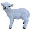 Vivid Arts 38.5cm Standing Lamb - XRL-STLB-B 2 Vivid Arts 38.5cm Standing Lamb - XRL-STLB-B -Garden Outdoor Store 5055195017567