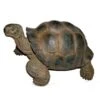 Vivid Arts 27cm Giant Tortoise -XRL-GTRT-D