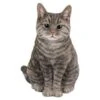 Vivid Arts 30cm Tabby Sitting Cat - XRL-SC33-B 2 Vivid Arts 30cm Tabby Sitting Cat - XRL-SC33-B -Garden Outdoor Store 5055195020222