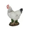Vivid Arts 27cm Black & White Summer Hen - XRL-CH47-D -Garden Outdoor Store 5055195020482
