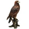 Vivid Arts 40cm Golden Eagle - XRL-GDEG-B -Garden Outdoor Store 5055195024879