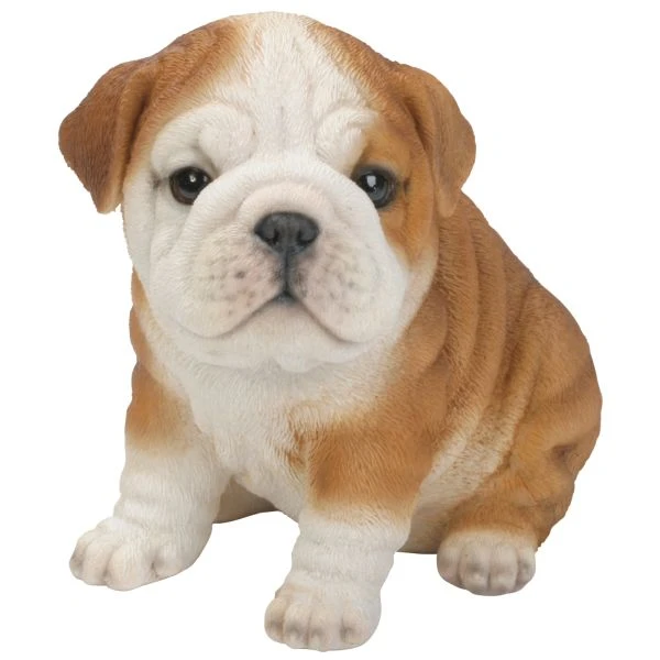 Vivid Arts 19cm Bulldog Puppy Pet Pals - PP-BDOG-F 3 Vivid Arts 19cm Bulldog Puppy Pet Pals - PP-BDOG-F