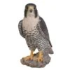 Vivid Arts 25cm Peregrine Falcon - XRL-PFAL-B 1 Vivid Arts 25cm Peregrine Falcon - XRL-PFAL-B -Garden Outdoor Store 5055195025807