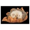 Vivid Arts Baby Hedgehog Sleeping On Leaf XRL-HH09-F 2 Vivid Arts Baby Hedgehog Sleeping On Leaf XRL-HH09-F -Garden Outdoor Store 5055195037596