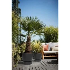 Elho 25cm Living Black Greenville Round Planter -Garden Outdoor Store 8711904332334 5
