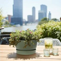 Elho 33cm Leaf Green Greenville Bowl Planter -Garden Outdoor Store 8711904332464 4