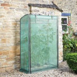 Smart Garden Tomato Grow Zone -Garden Outdoor Store grozone tomato growhouse lifestyle 2