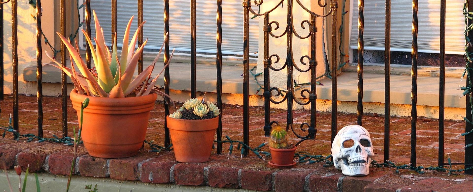 Garden Outdoor Store 1 Garden Outdoor Store -Garden Outdoor Store balcony 6784570 1920